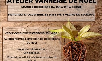 SEGUR / VEZINS : Ateliers Vannerie Sauvage de Noël